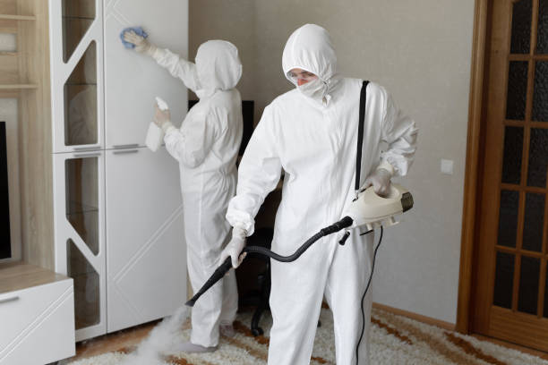 24/7 Emergency Odor Removal experts in Springville, IA