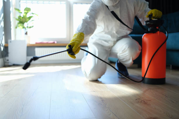 Reliable Odor Removal contractor in Springville, IA by Trauma Clean Pros